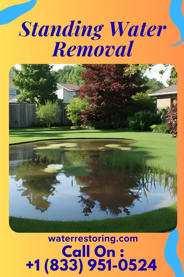 Standing Water Removal in Wren, OH
